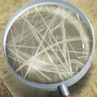 волокно бств амакс